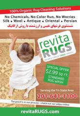 Revita Rugs